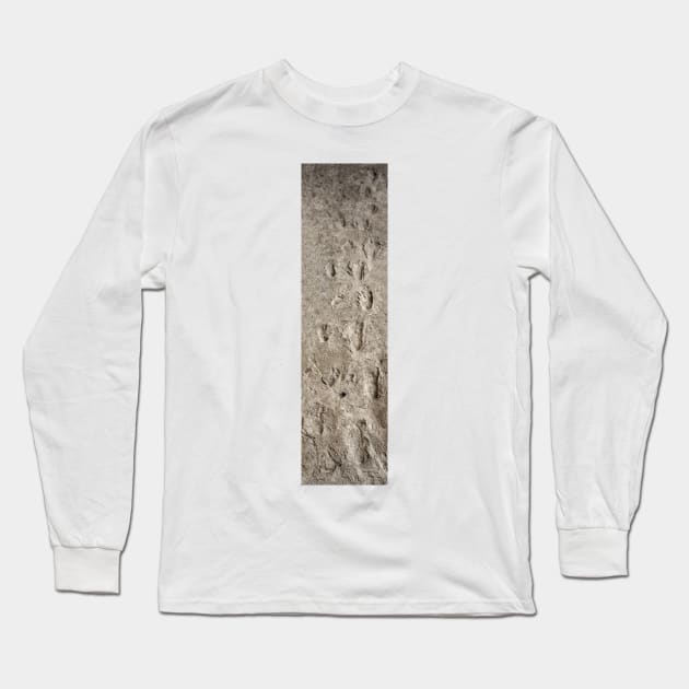 Hominid footprints, Tanzania (C033/7267) Long Sleeve T-Shirt by SciencePhoto